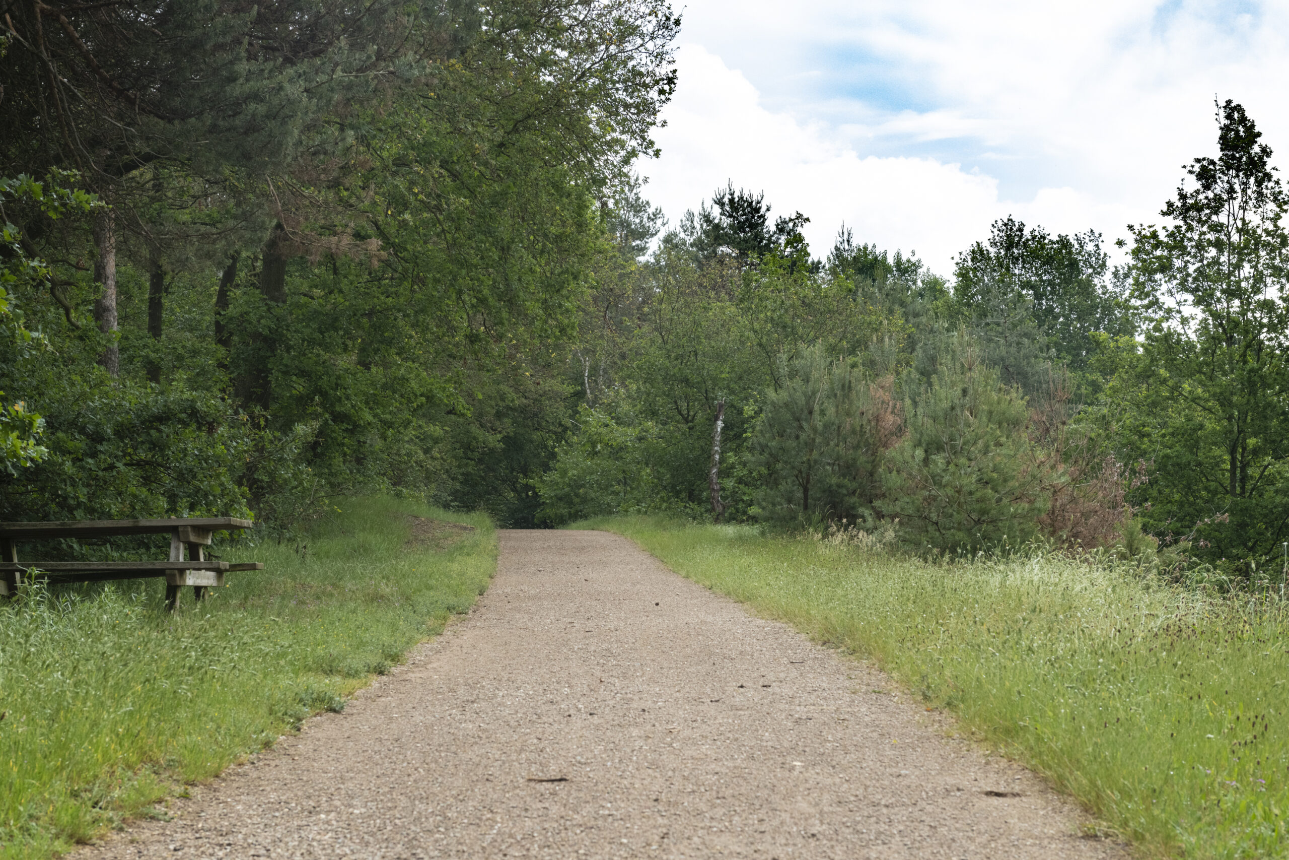 Quarzitische Grauwacke Flachkorn halfverharding