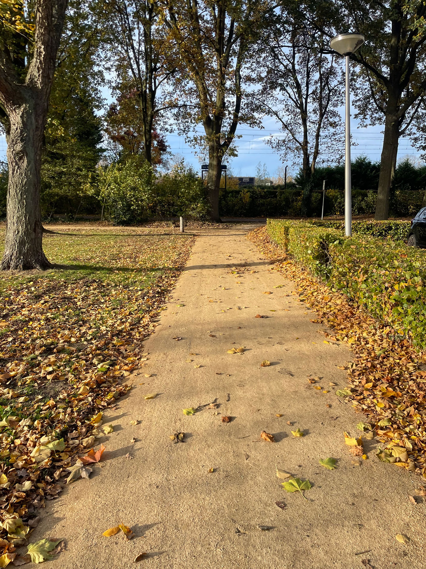 Halfverharding Gravilux Oss