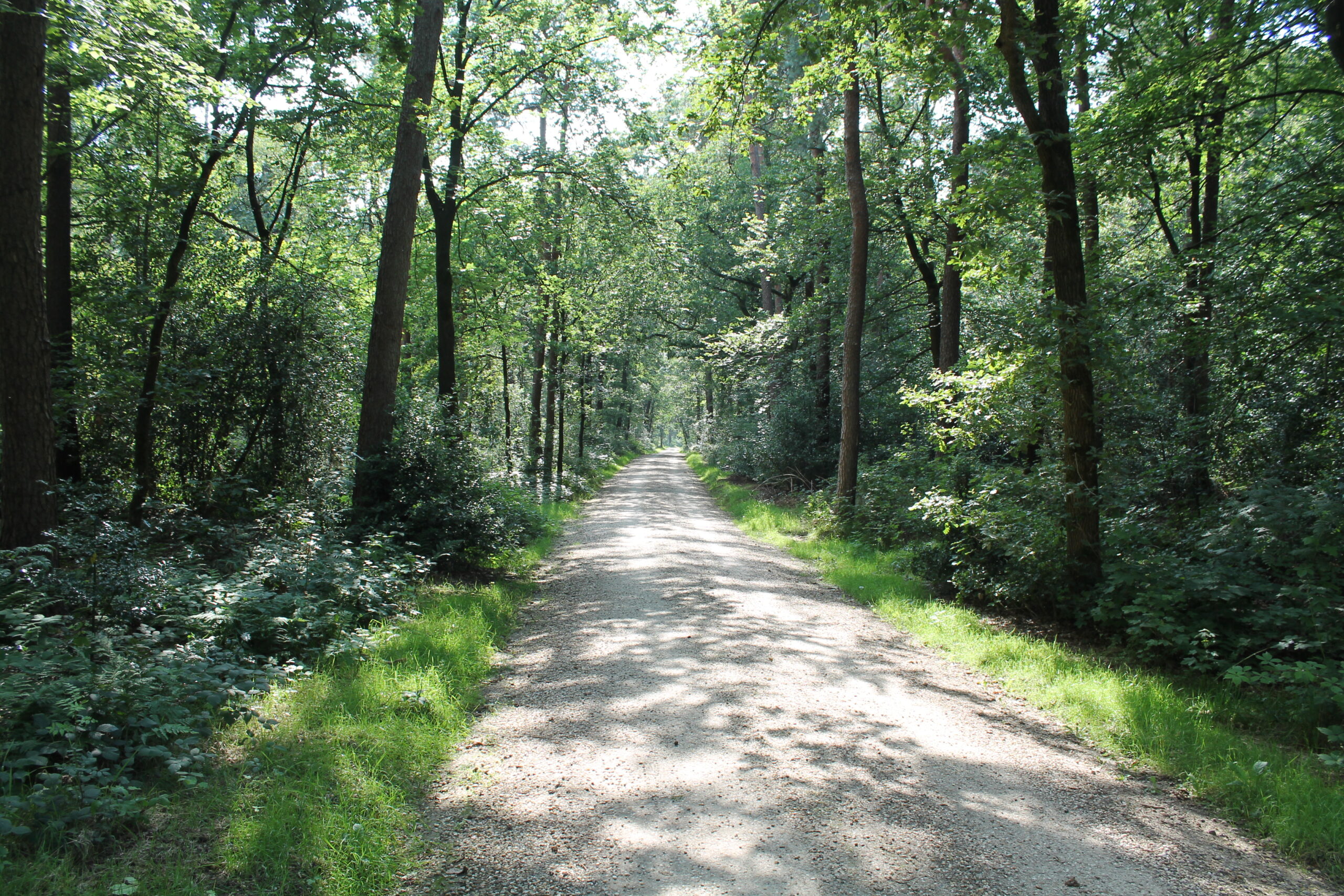 Leemgrind Halfverharding