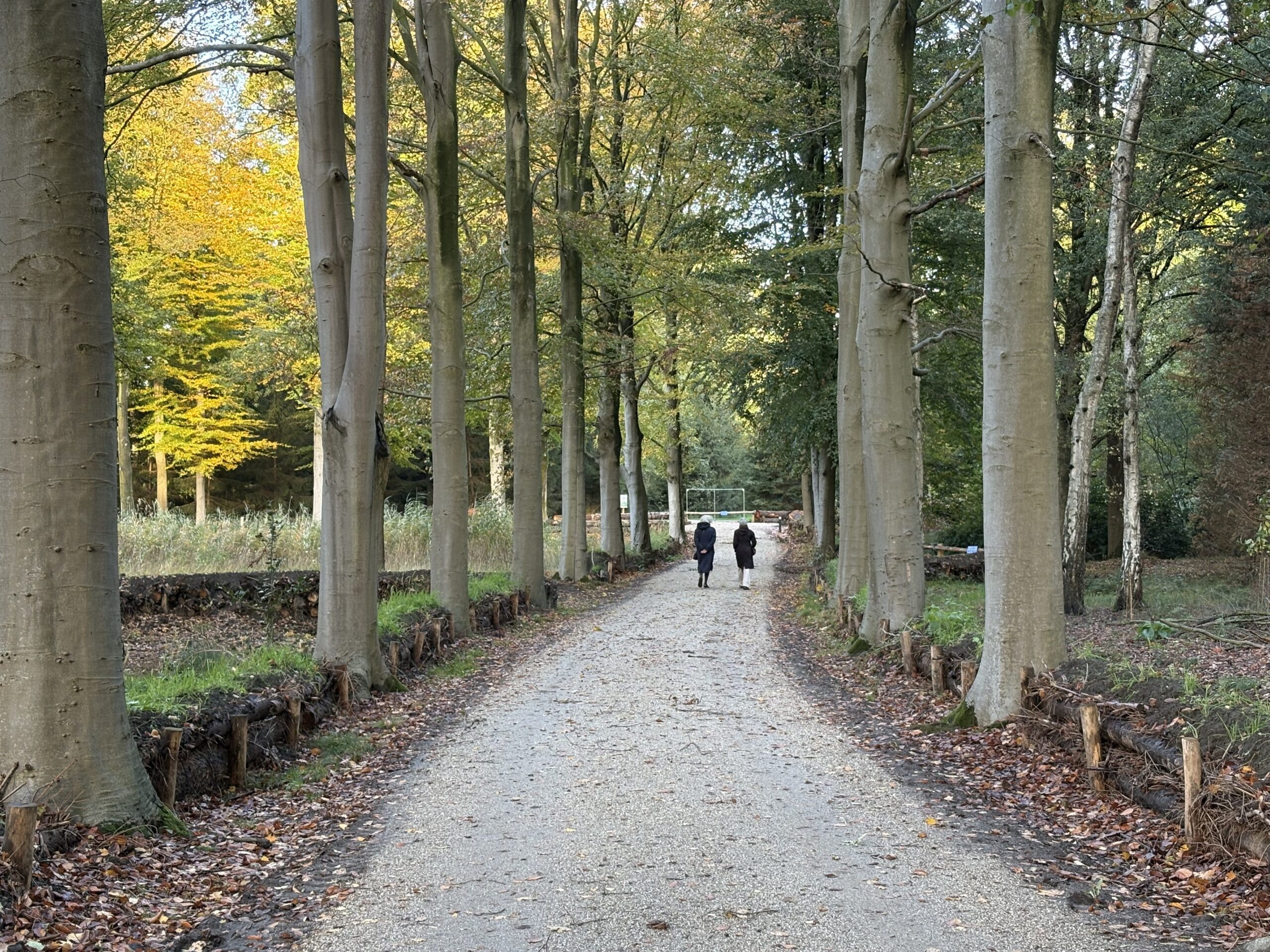 halfverharding-Aquado-natural