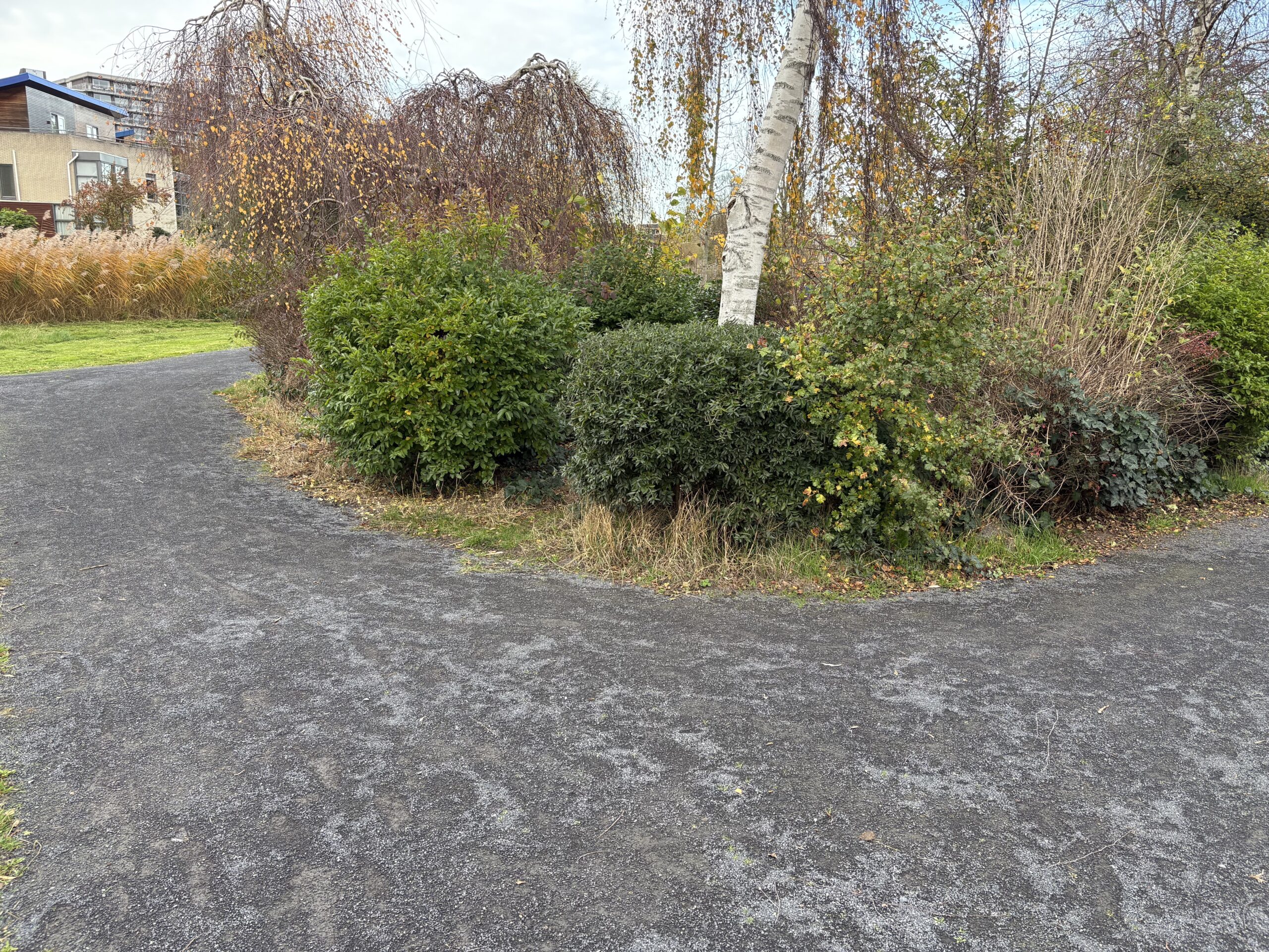 Halfverharding Balastan