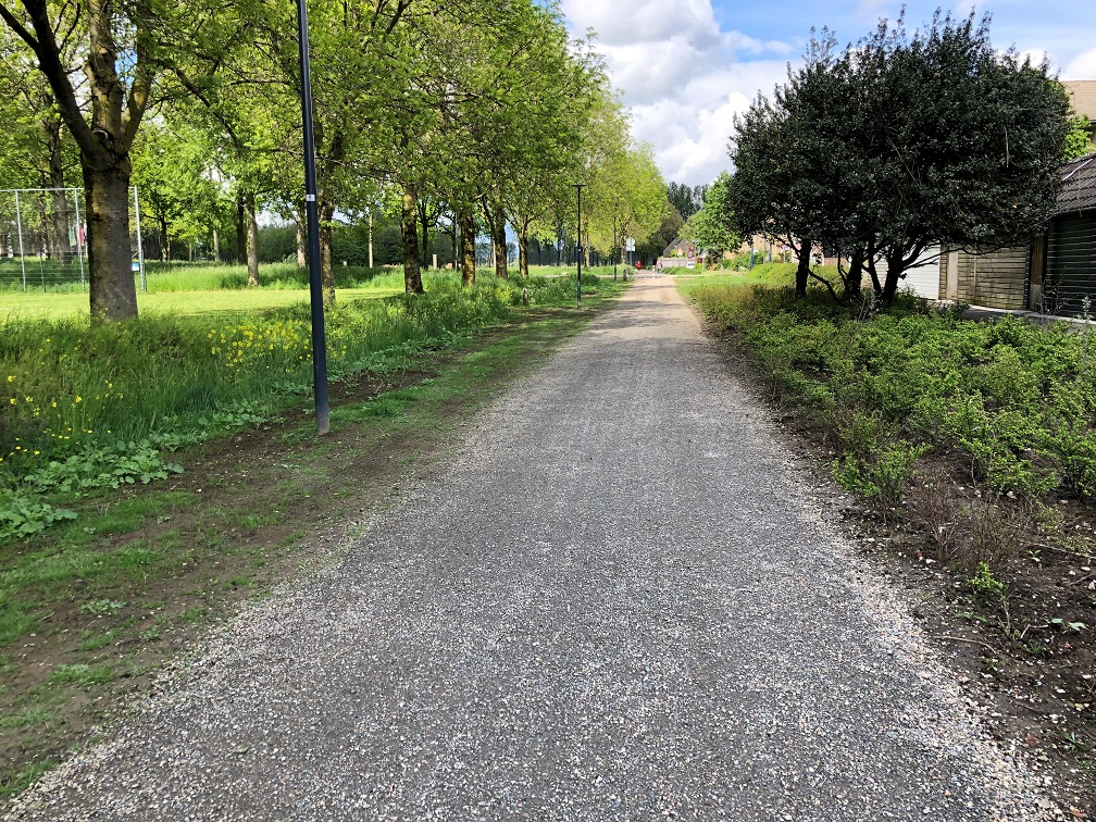 Halfverharding Graulivijn Oosterhout in park